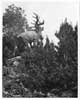 Newfoundland War Memorial, Gueudecourt, France, 1938 - Monument de Guerre de Terre-Neuve, Gueudecourt, France, 1938