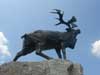 Caribou monument located at Beaumont Hamel, France - Monument du caribou  Beaumont Hamel, France