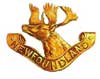 The Royal Newfoundland Regiment pin